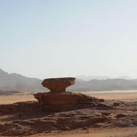 Bedouin Stylelife Camp Hotel Wadi Rum Exterior photo