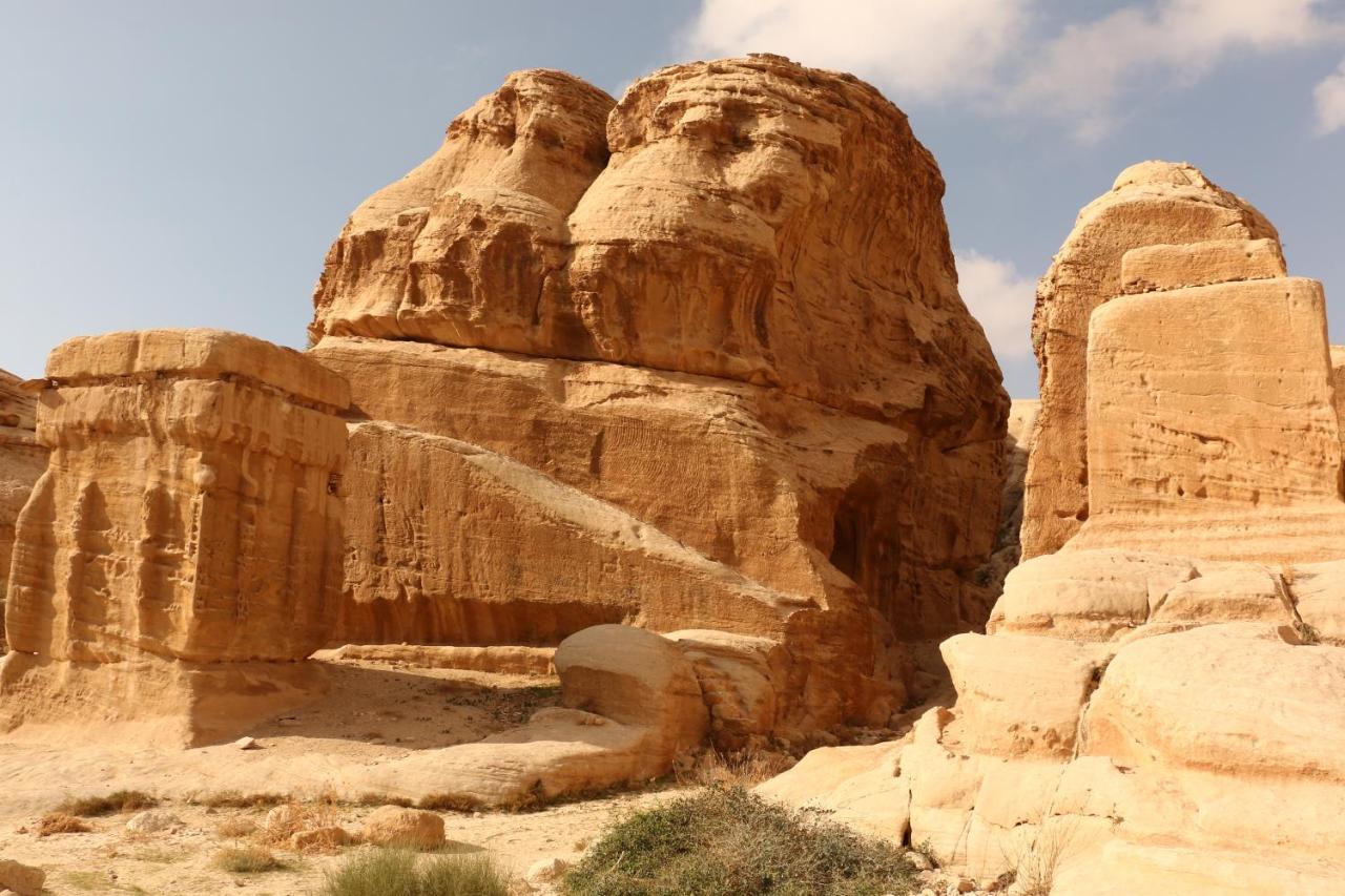 Bedouin Stylelife Camp Hotel Wadi Rum Exterior photo